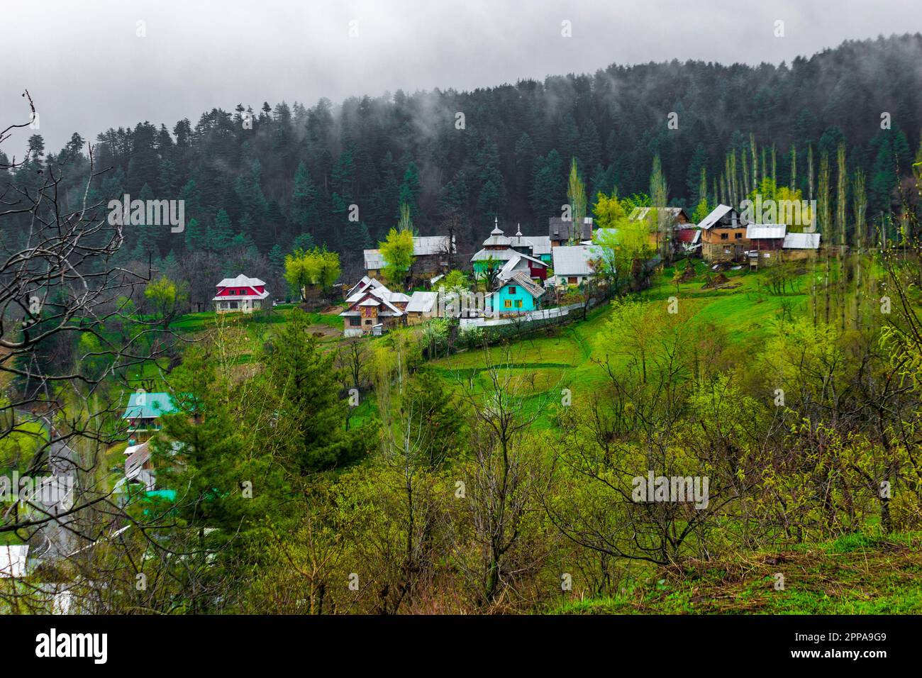 A fruit seller on a shikara at the Dal Lake in Srinagar, Kashmir, India