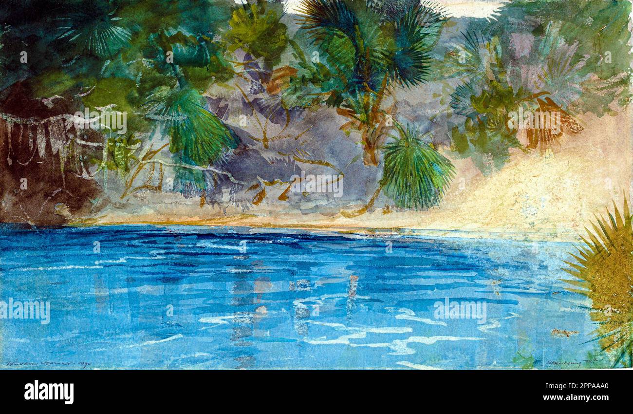 Blue Spring, Florida (1890) by Winslow Homer. Stock Photo