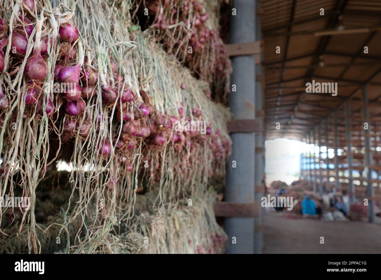 Red Onions displayed in local farmers' Warehouse Stock Photo Alamy