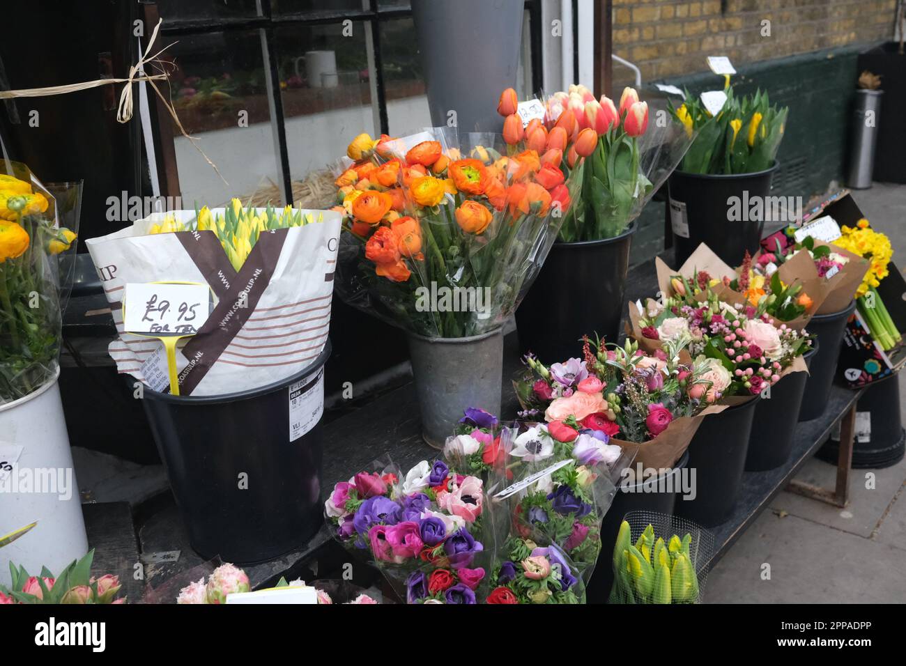 A variety of ranunculus, anenomes and numerous other flowers on offer at this village styled, florist, in Hampstead London Stock Photo
