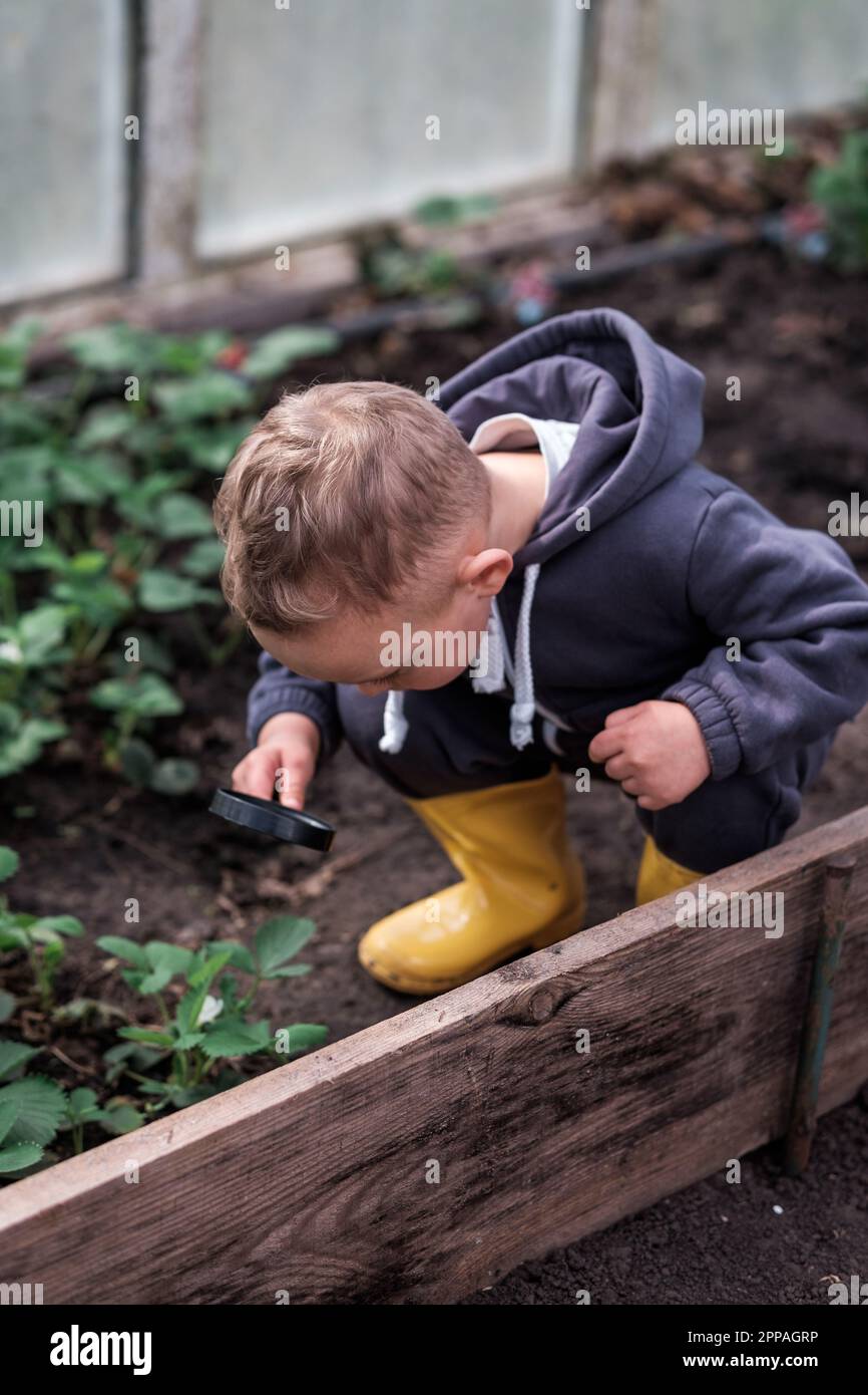 Curious little preschool boy child looking through magnifying glass