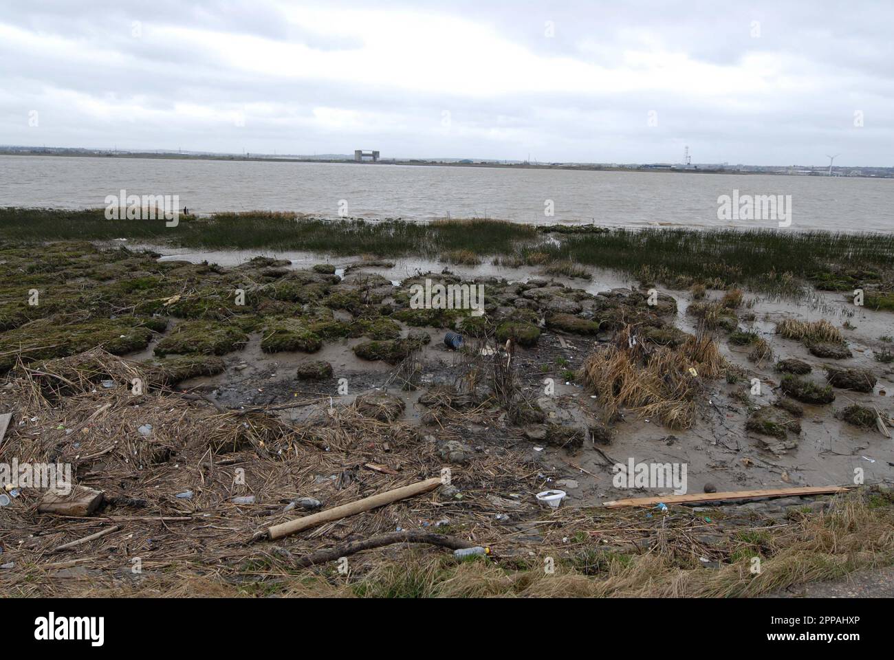 High Tide line following recent storms behind saltmarsh on the tidal