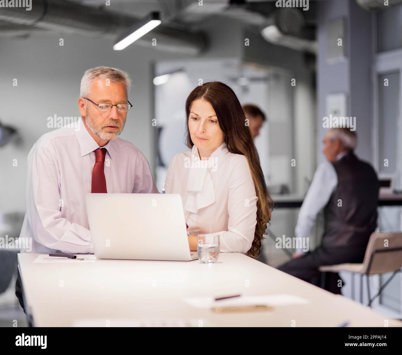 Senior businessman businesswoman looking laptop office Stock Photo