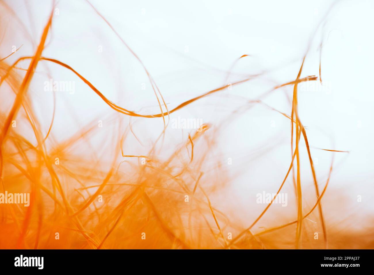 Texture waving orange fibers Stock Photo Alamy