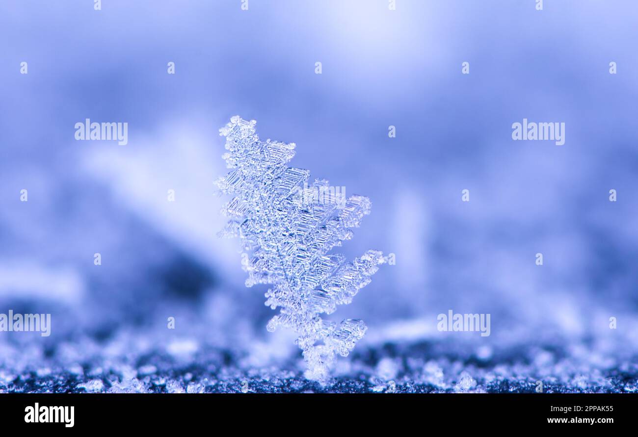 https://c8.alamy.com/comp/2PPAK55/abstract-macro-of-an-ice-crystal-2PPAK55.jpg