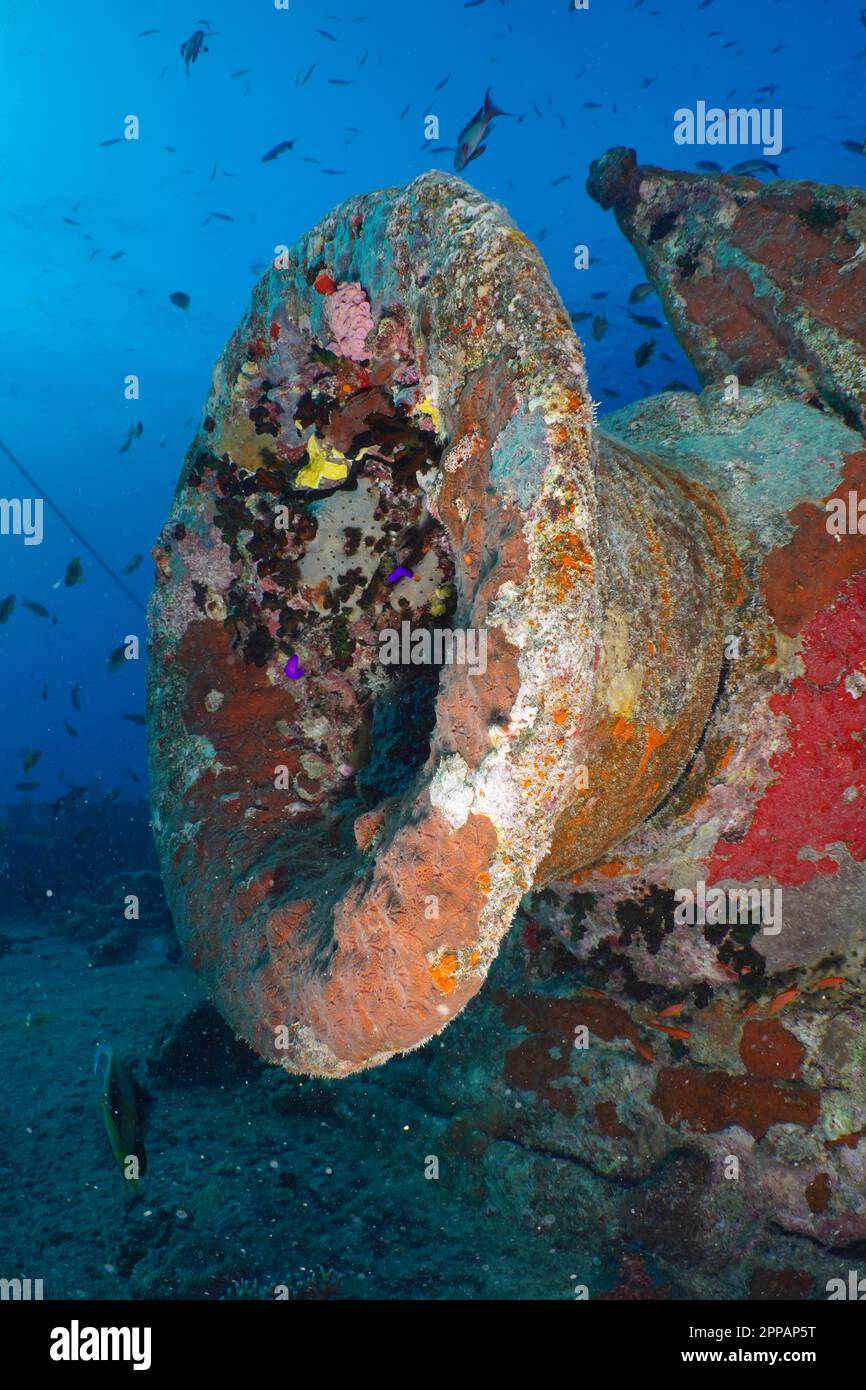 The First Undersea Park in the U.S. Has Incredible Diving, Snorkeling, and  Glass-bottom Boat Tours, image size:866x1390