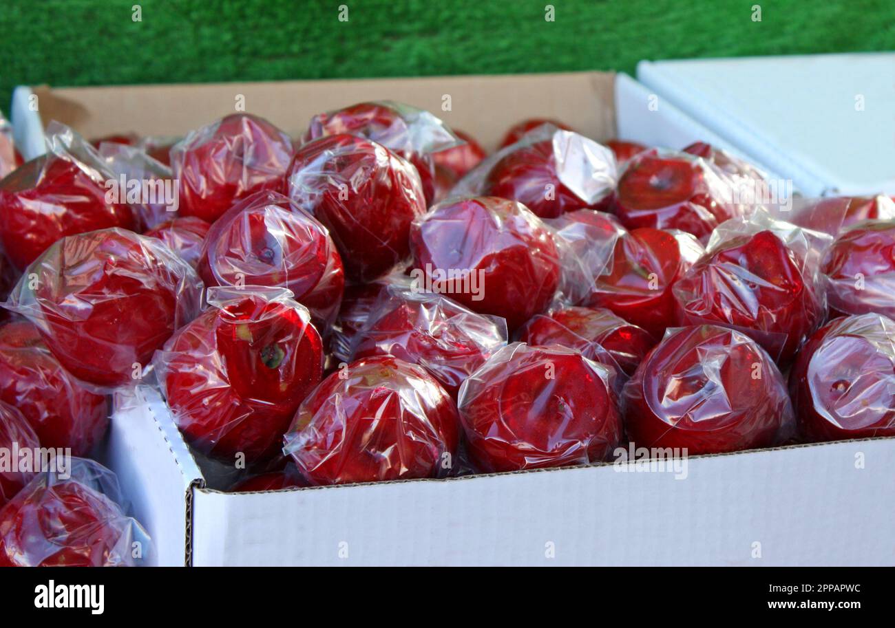 Traditional Toffee Apples on Display in Cardboard Boxes Stock Photo Alamy