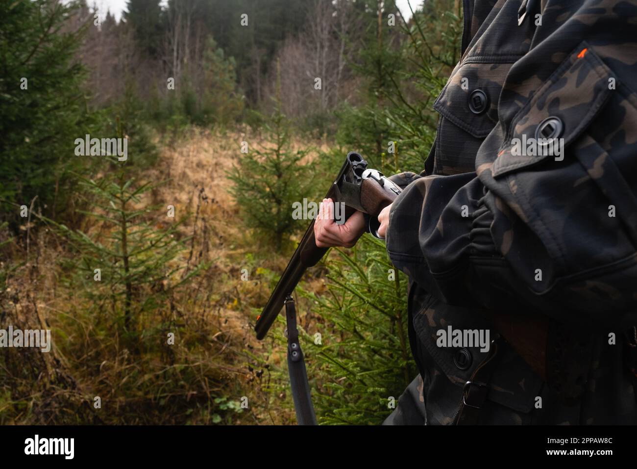 Hunter charges a hunting rifle with cartridges in a forest. High quality photo Stock Photo