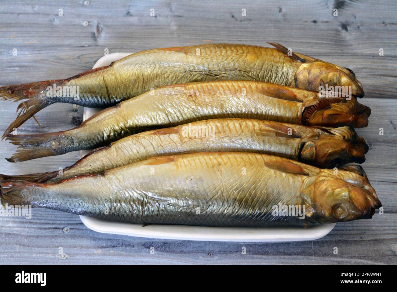 Smoked salty Herring forage fishes, saltcured and smoked, also known