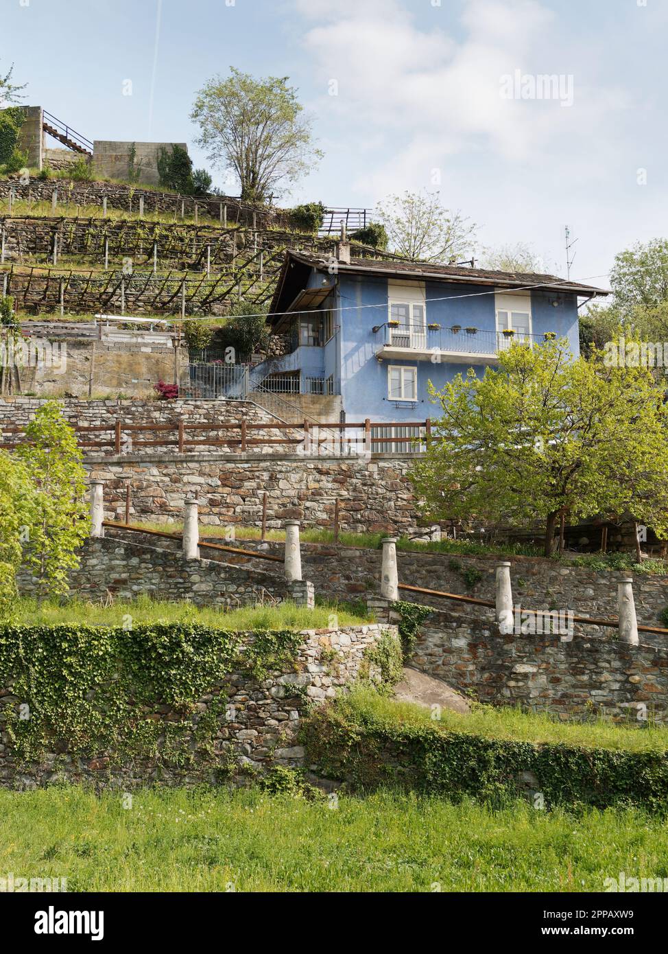 Terraced vineyards with stone walls in the town of Pont-Saint-Martin, Aosta Valley, NW Italy Stock Photo