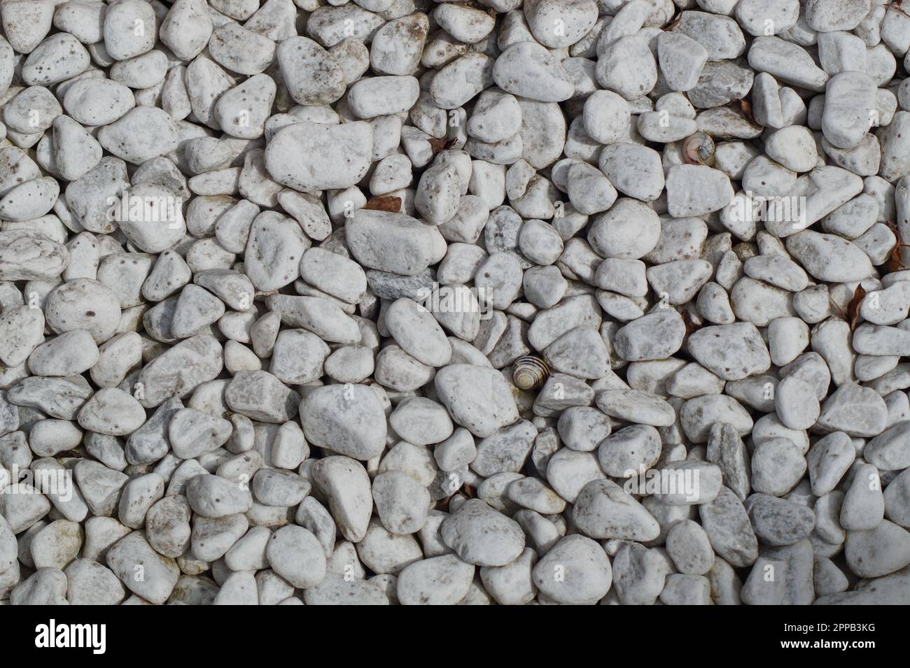 White decorative gravel, structure, background Stock Photo