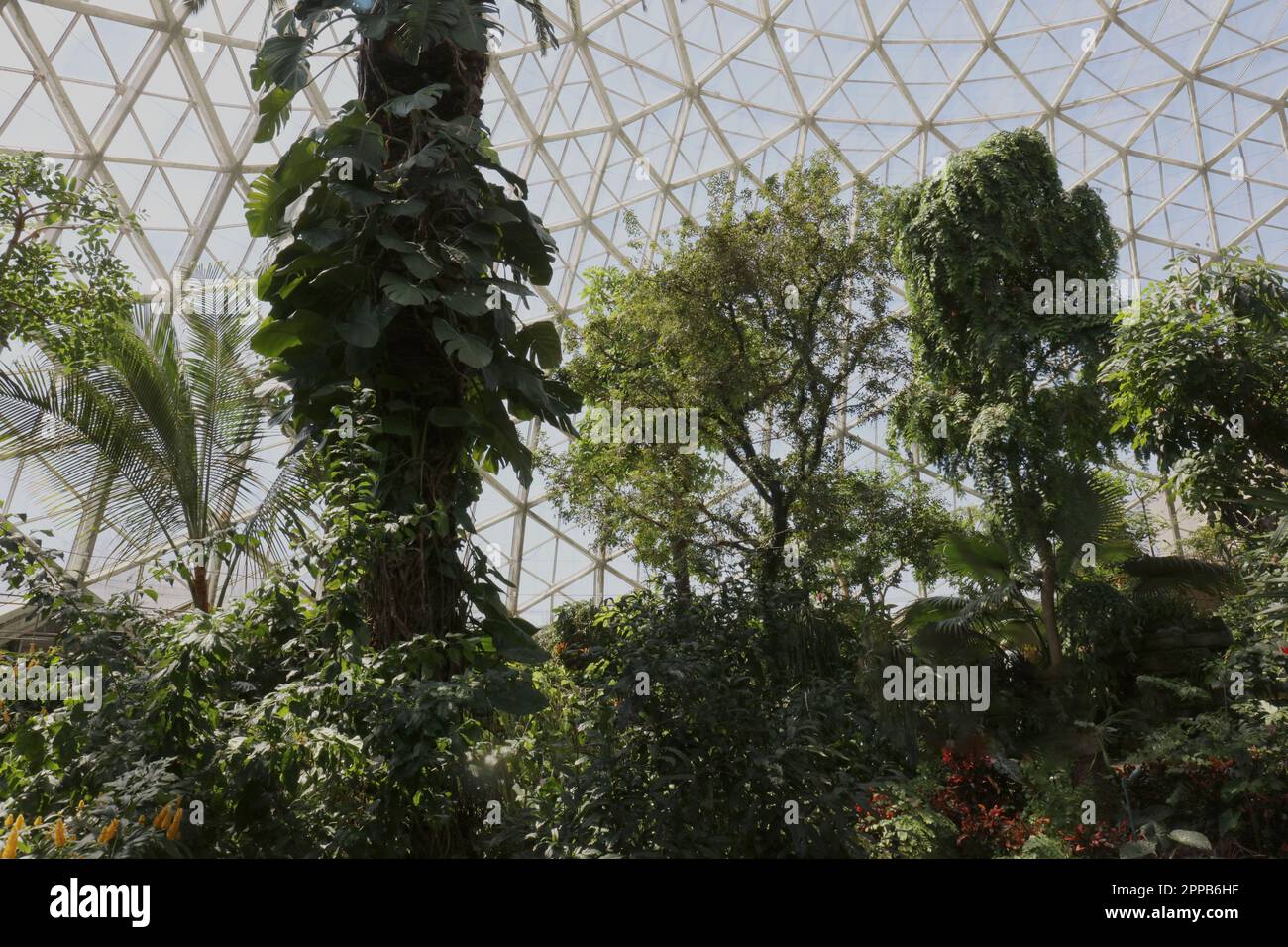 32 Mitchell Park Domes Stock Photos, High-Res Pictures, and Images - Getty  Images