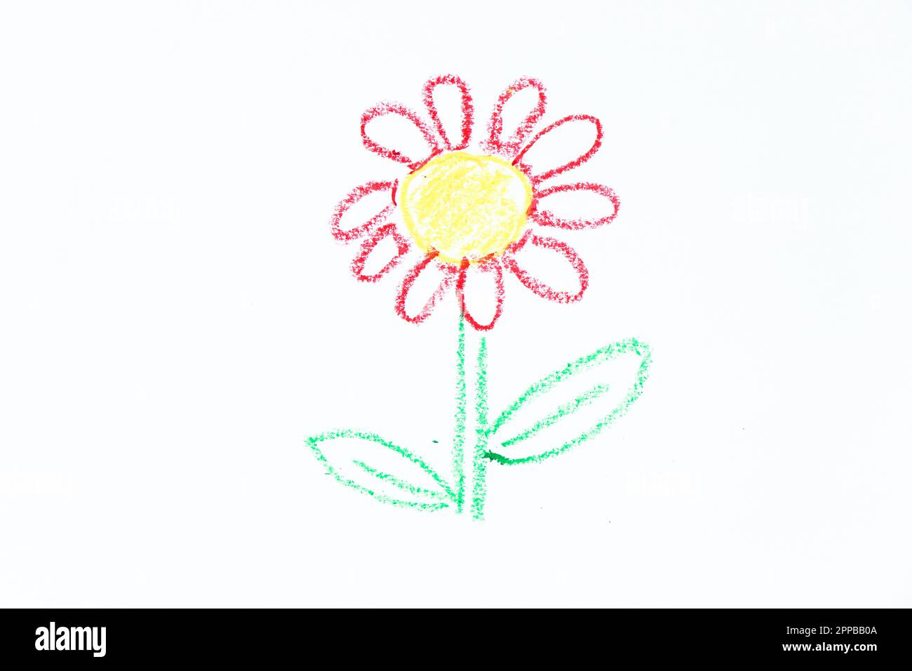 Color oil pastel hand drawing in flower shape on white paper background Stock Photo Alamy