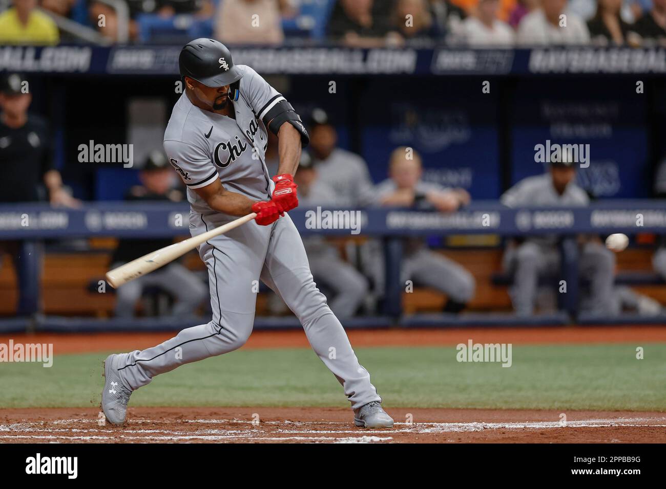 does jose ramirez chew tobacco Chicago White Sox designated hitter Manny Ramirez puts chewing tobacco in  his mouth before a baseball game against the Cleveland Indians at  Progressive Field in Cleveland on August 31, 2010. UPI/David Richard
