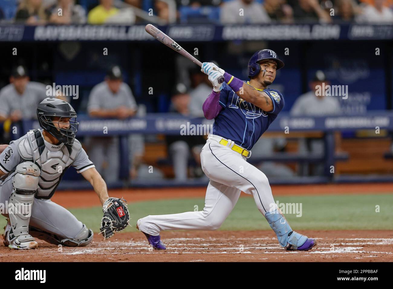 St. Petersburg, FL USA; T5 singles to right field during an MLB game against the Chicago White Sox on Saturday, April 22, 2023 at Tropicana Field.  T Stock Photo