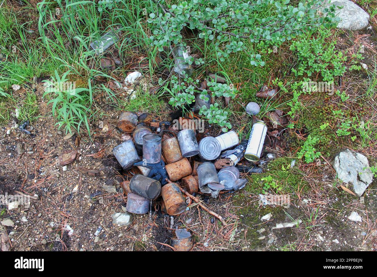 Garbage thrown in forest, empty bottles and burnt cans scattered around. Negative impact of human behavior on natural environment Stock Photo