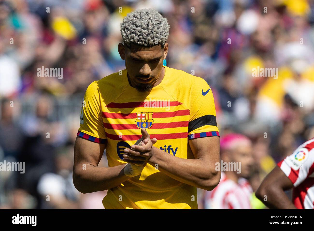 Barcelona, Spain. 23rd Apr, 2023. BARCELONA, SPAIN - APRIL 23: Ronald Araujo of FC Barcelona during the La Liga match between FC Barcelona and Atletico de Madrid at the Spotify Camp Nou on April 23, 2023 in Barcelona, Spain (Credit Image: © Gerard Franco/DAX via ZUMA Press Wire) EDITORIAL USAGE ONLY! Not for Commercial USAGE! Stock Photo