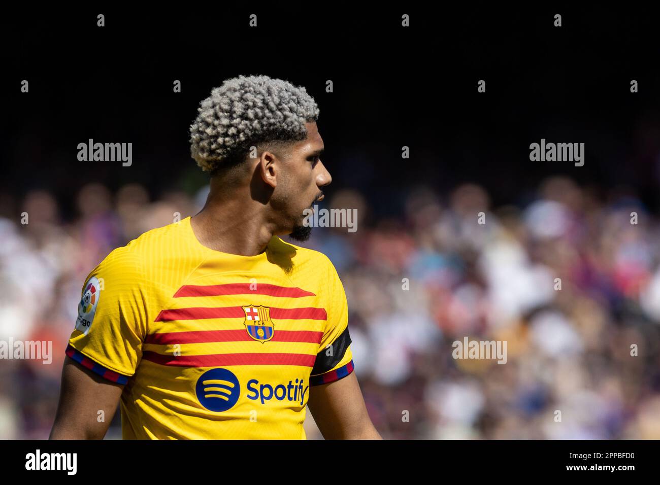 Barcelona, Spain. 23rd Apr, 2023. BARCELONA, SPAIN - APRIL 23: Ronald Araujo of FC Barcelona during the La Liga match between FC Barcelona and Atletico de Madrid at the Spotify Camp Nou on April 23, 2023 in Barcelona, Spain (Credit Image: © Gerard Franco/DAX via ZUMA Press Wire) EDITORIAL USAGE ONLY! Not for Commercial USAGE! Stock Photo