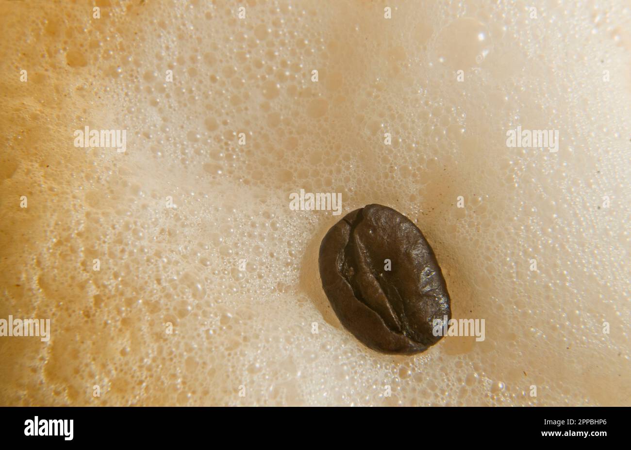 Coffee Bean with Milk Foam Stock Photo Alamy