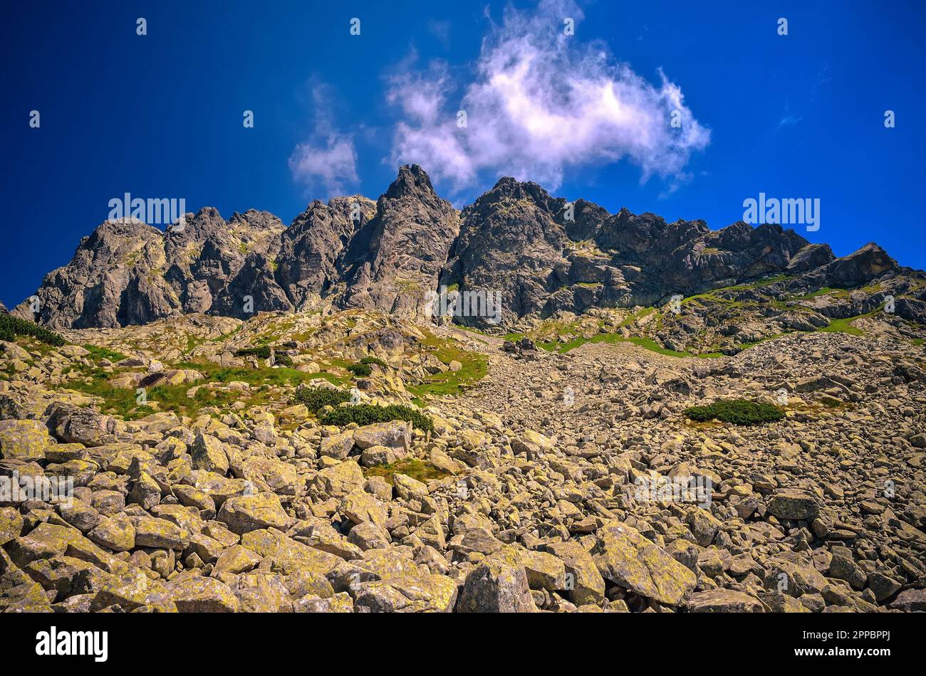Beautiful summer mountain landscape in daytime scenery. View of a rocky ...