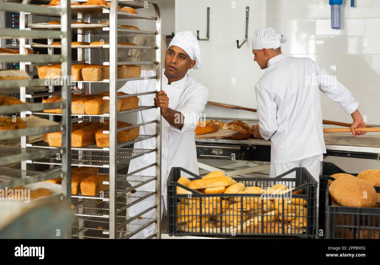 Man baker transporting a cart with bread in bakery Stock Photo - Alamy