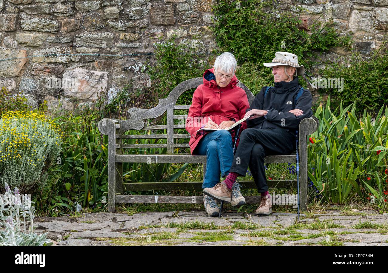 Elderly couple sitting on bench with woman sketching, Gertrude Jekyll's flower garden, Holy Island of Lindisfarne, Northumberland, England, UK Stock Photo