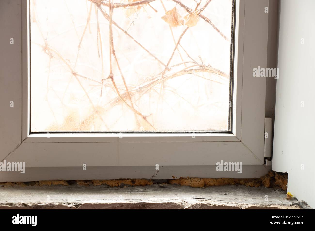 repair of the slope on the window, fungus on the window, window in the apartment Stock Photo