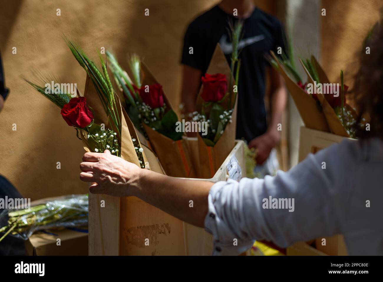 St Georges Roses Barcelona, Spain. 23rd Apr, 2023. A close up of the hand of a woman ...