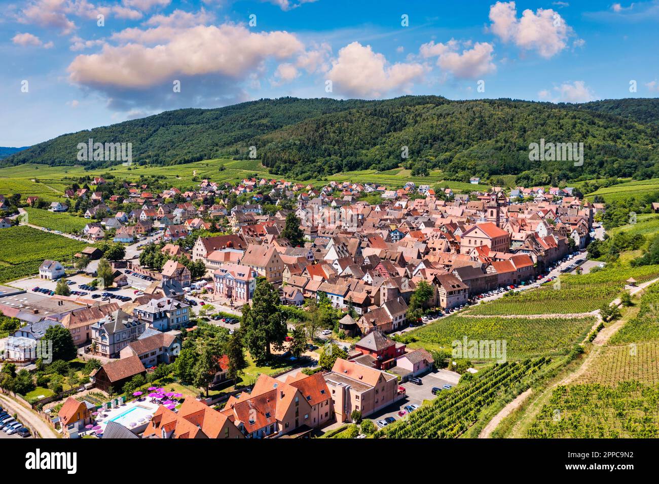 View of Riquewihr village and vineyards on Alsatian Wine Route, France