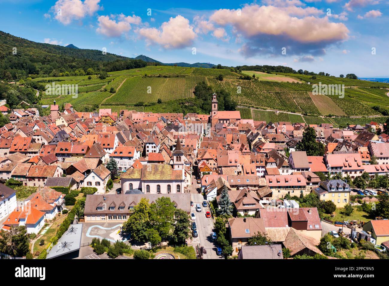 View of Riquewihr village and vineyards on Alsatian Wine Route, France
