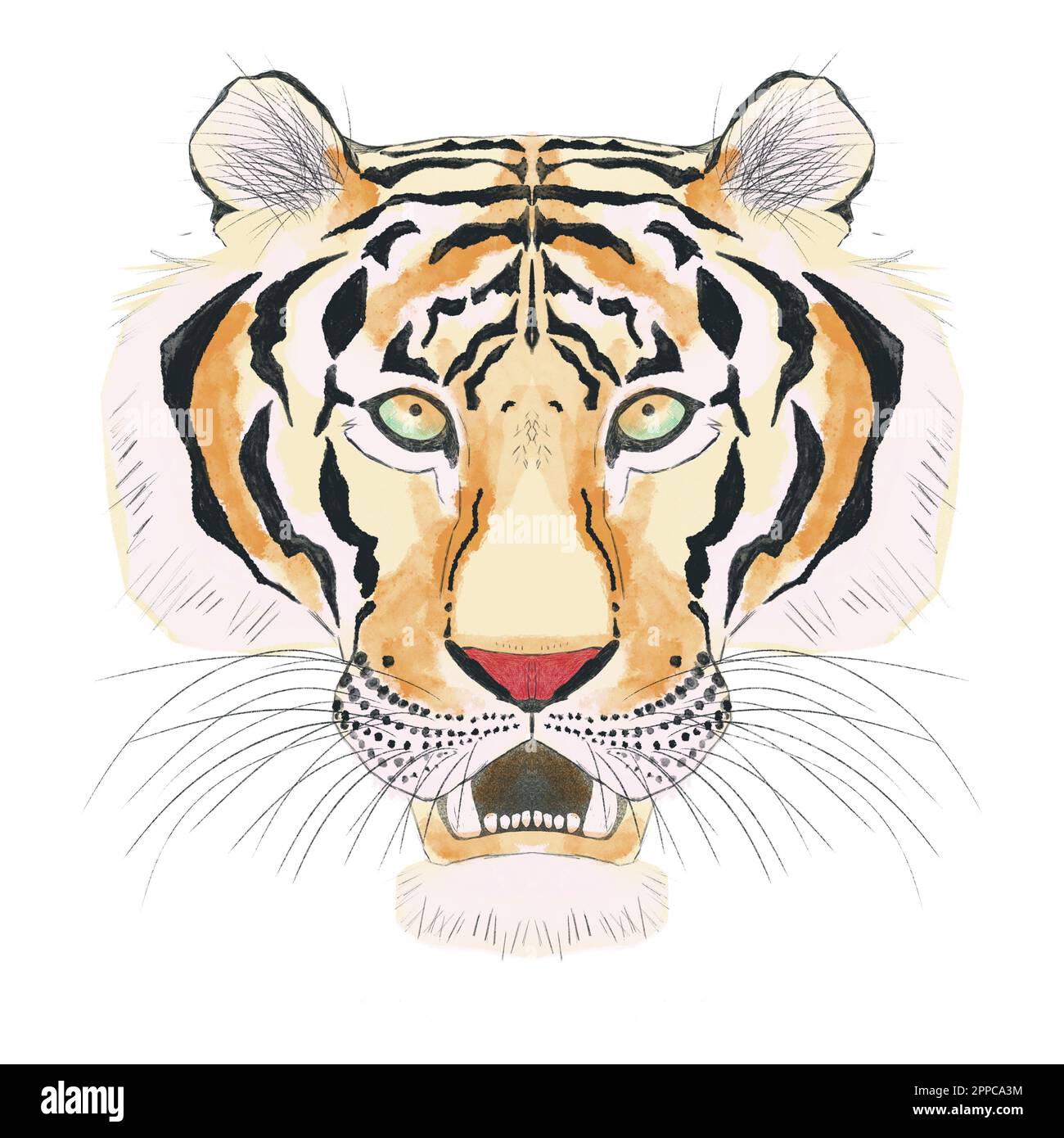 Digital illustration of tiger head on white background. Watercolor strokes. Chinese Horoscope Animals Stock Photo