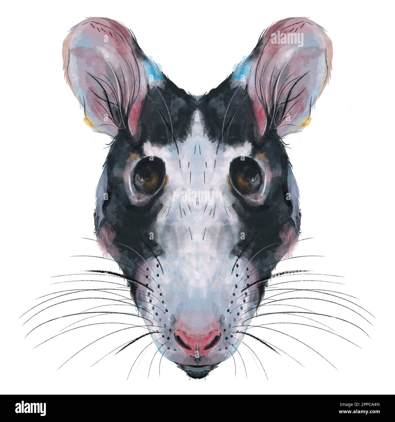 Digital illustration of rat head on white background. Watercolor ...