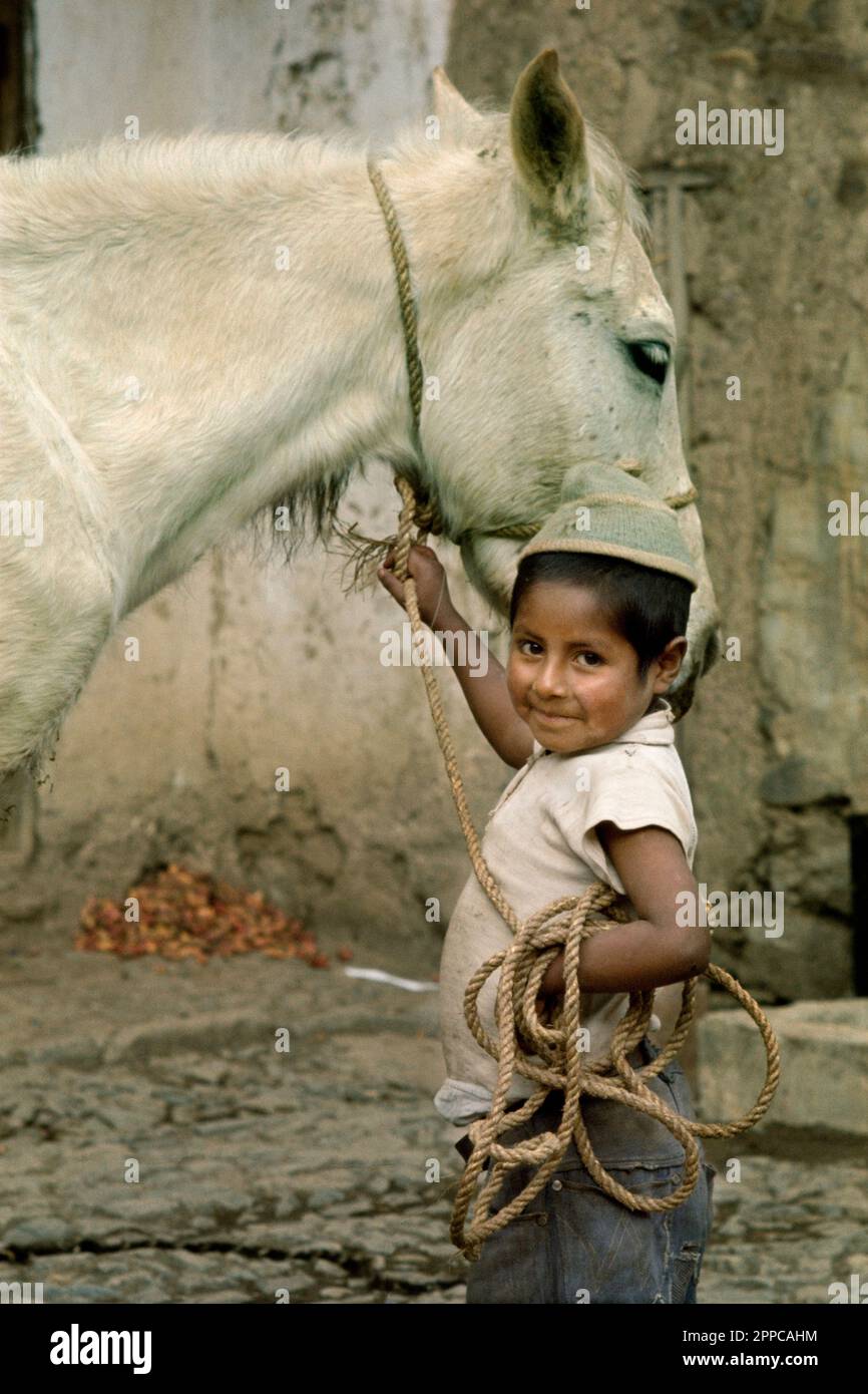 Mestizo boy holding horse at farm in Ayata, village in the Andes in Bolivia. Stock Photo
