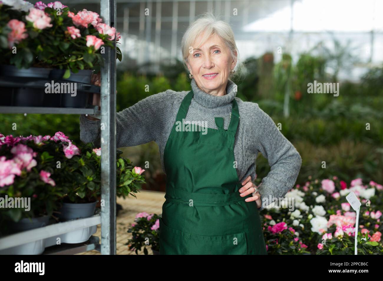 Elderly woman successful garden store owner standing near rack with ...