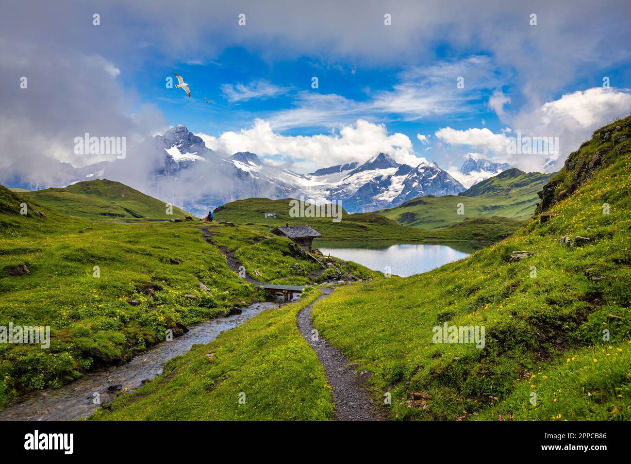 bachalpsee-lake-at-dawn-bernese-oberland-switzerland-alpine-view-of