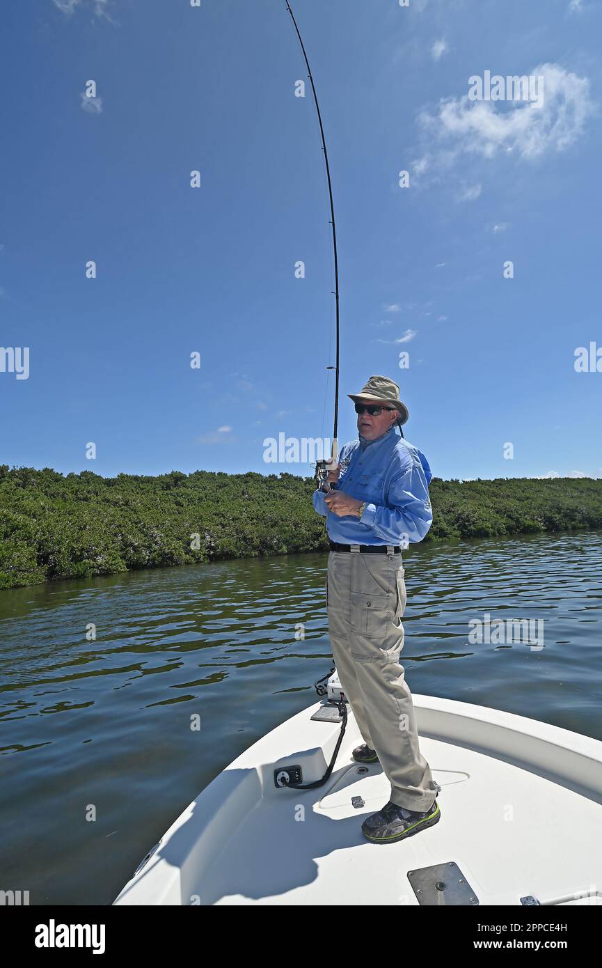 145 Fishing Line Leader Stock Photos - Free & Royalty-Free Stock