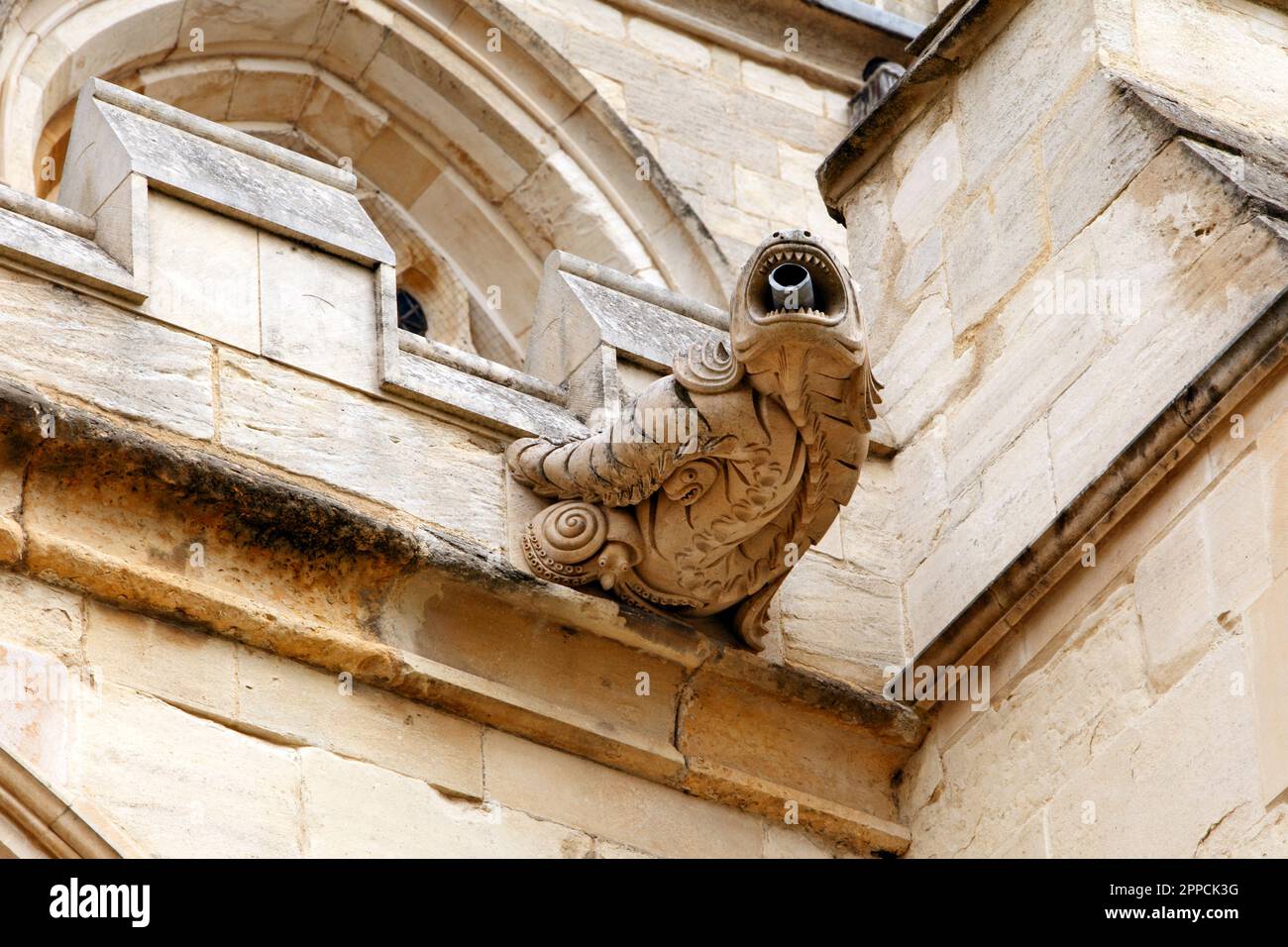 Gargoyle or grotesque on a water drain outlet on Gloucester Cathedral, Gloucestershire, UK Stock Photo