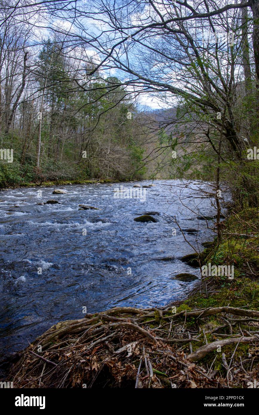 Early Spring landscapes and nature in the Great Smoky Mountain National Park Stock Photo
