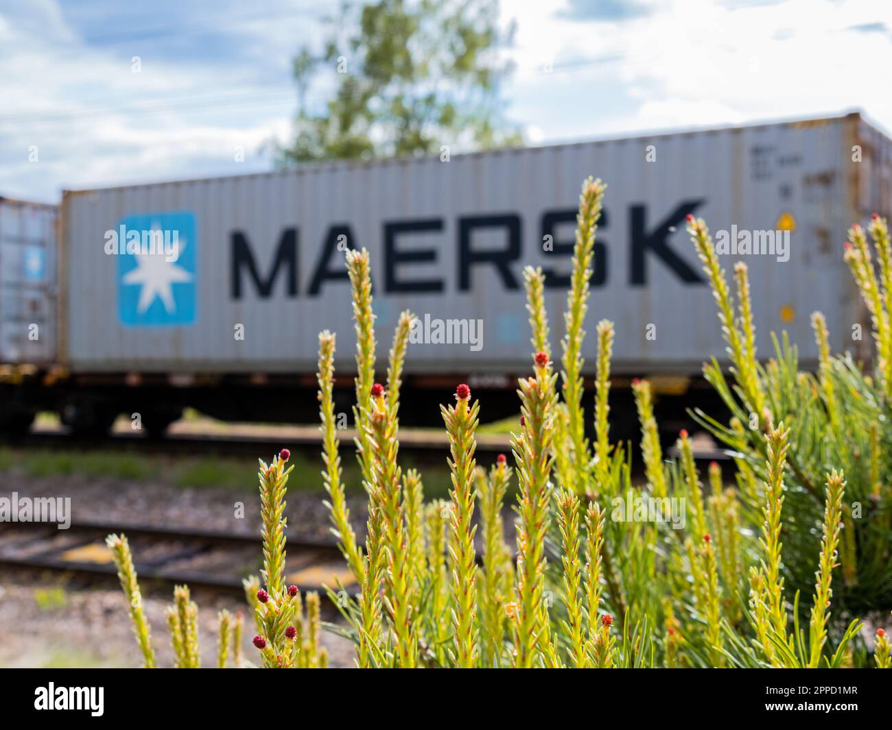 Angelsberg, Sweden - May 28, 2022: A bush filled with colorful flowers stands near a train loaded for transportation, framed by an expansive cloudy sk Stock Photo