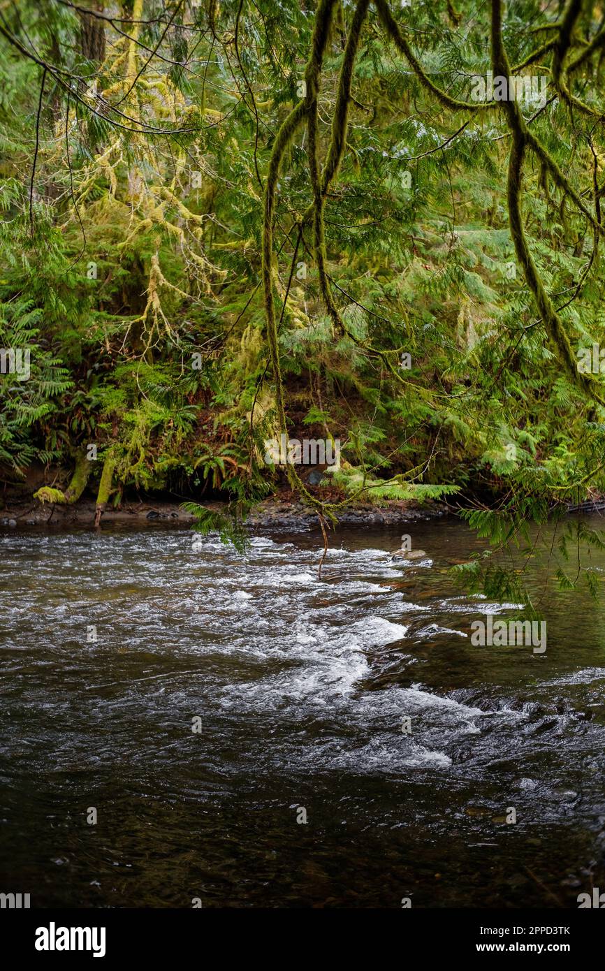 Qualicum fish hatchery hi-res stock photography and images - Alamy
