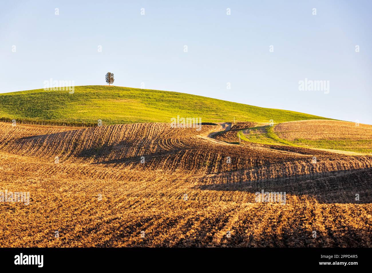 Italy, Tuscany, Rolling landscape of Val d'Orcia Stock Photo
