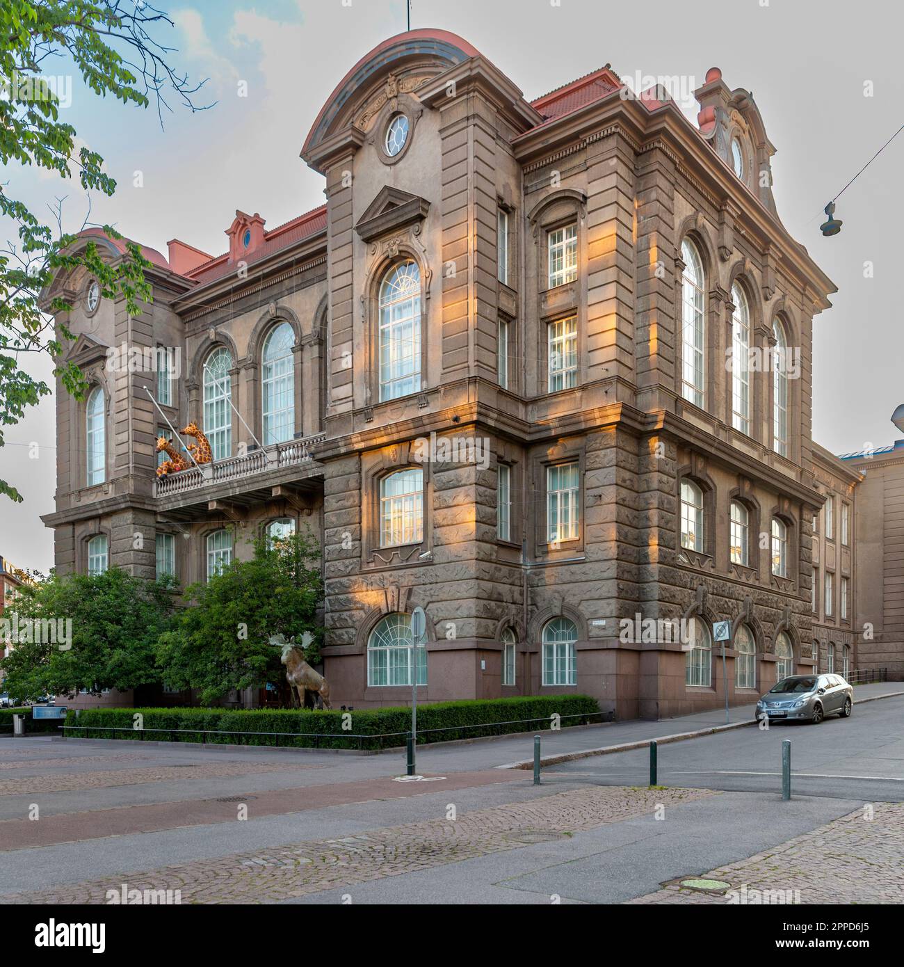 The 1913 Finnish Museum of Natural History baroque revival building in ...