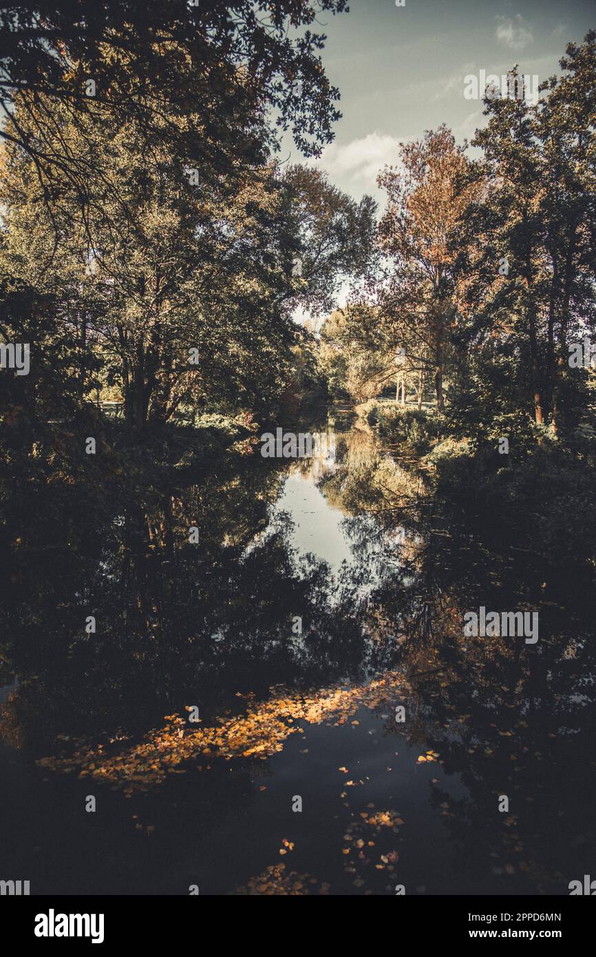 Lake reflecting surrounding trees in early autumn Stock Photo - Alamy