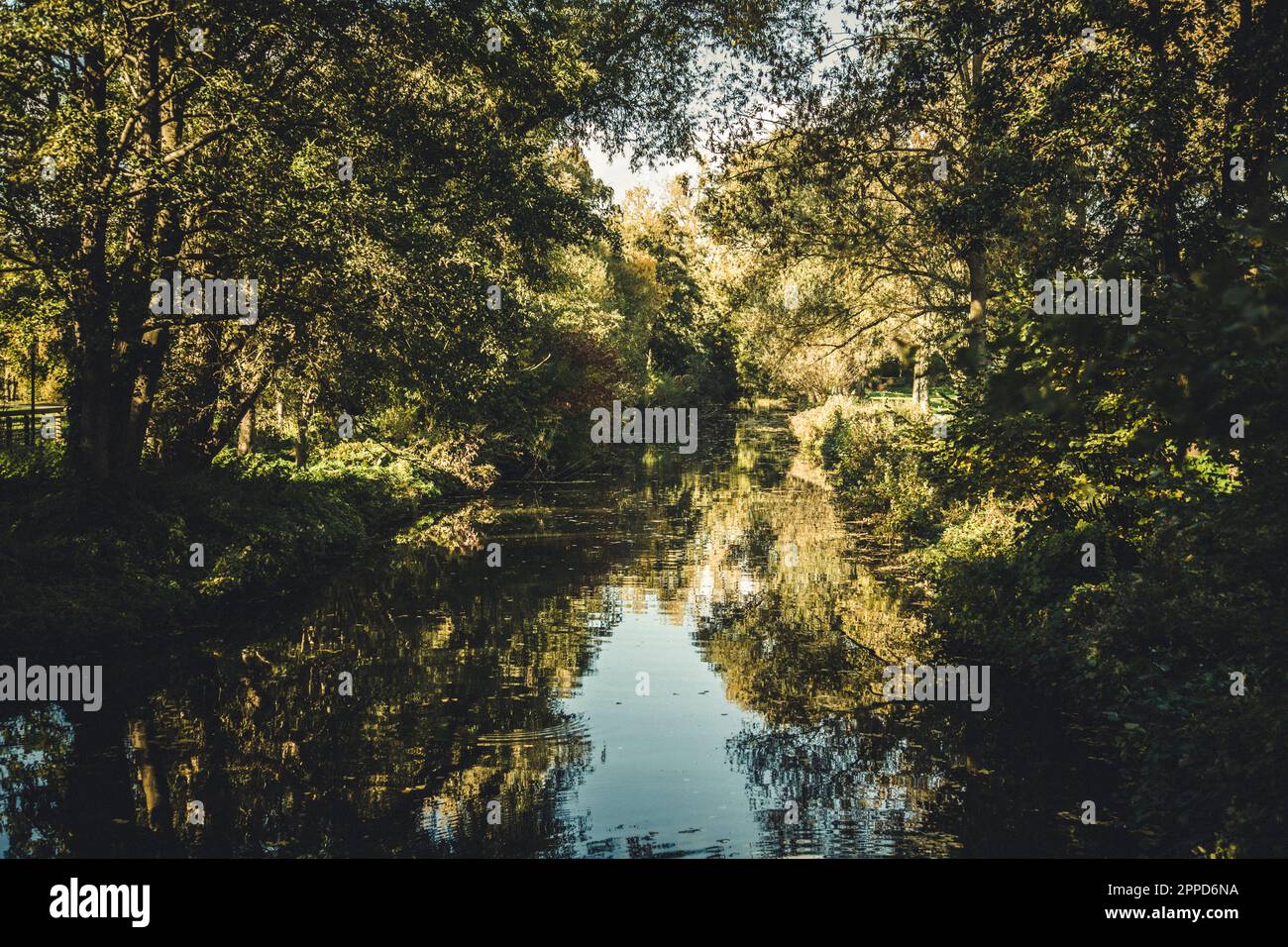 Lake reflecting surrounding trees in early autumn Stock Photo - Alamy