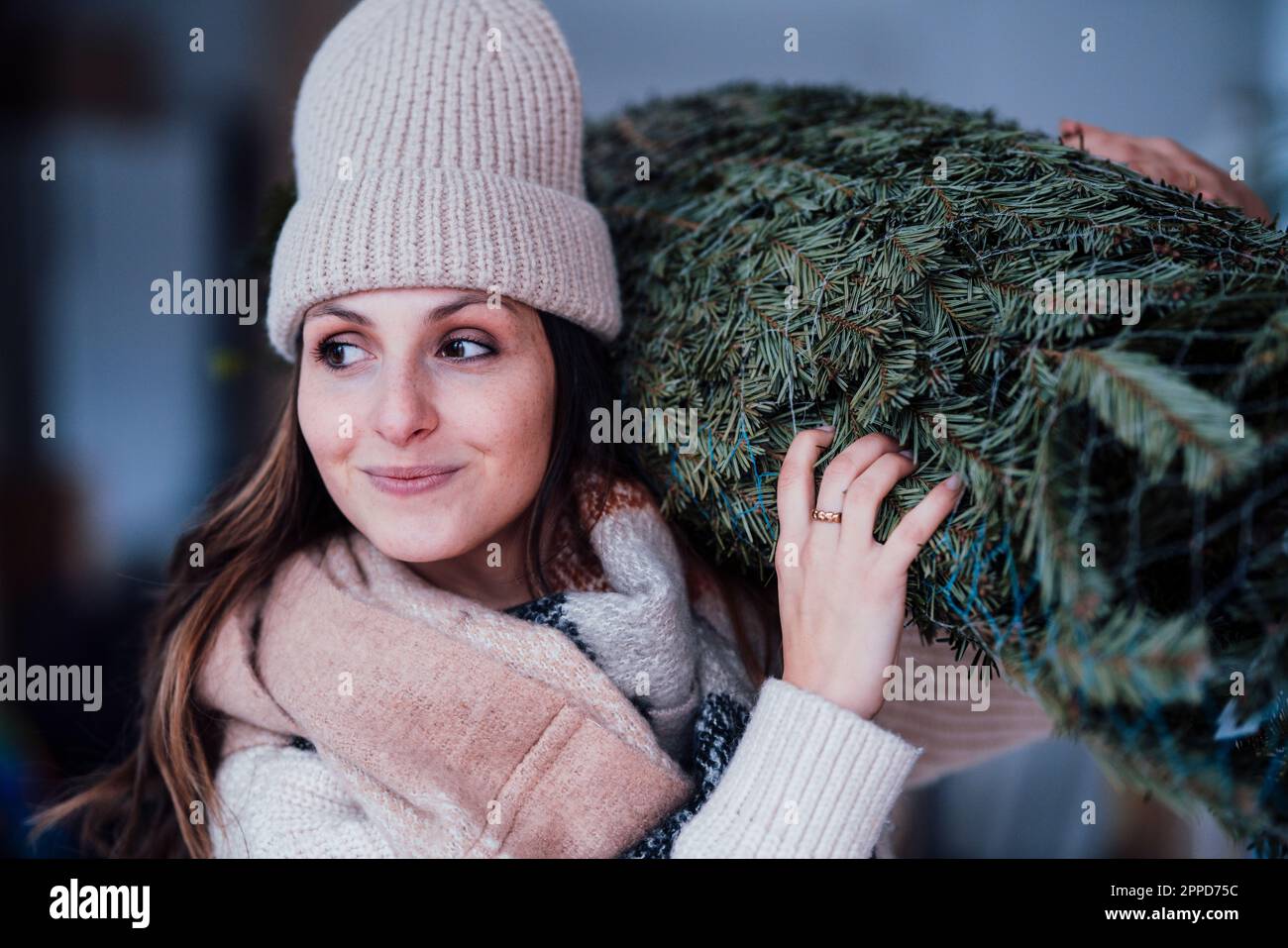 Woman carrying christmas tree away hi-res stock photography and images ...