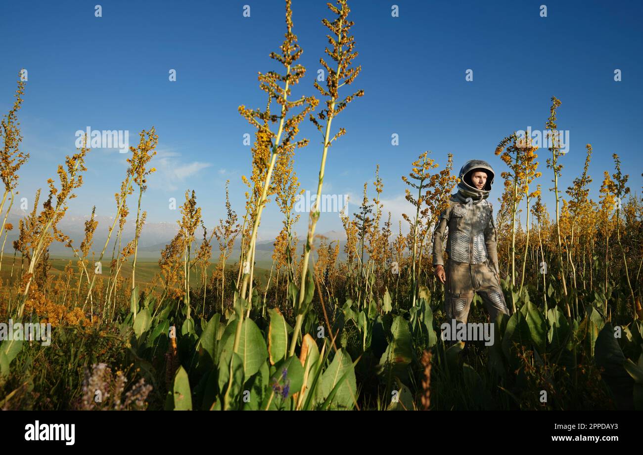 Cosmonaut wearing space suit amidst plants on field Stock Photo
