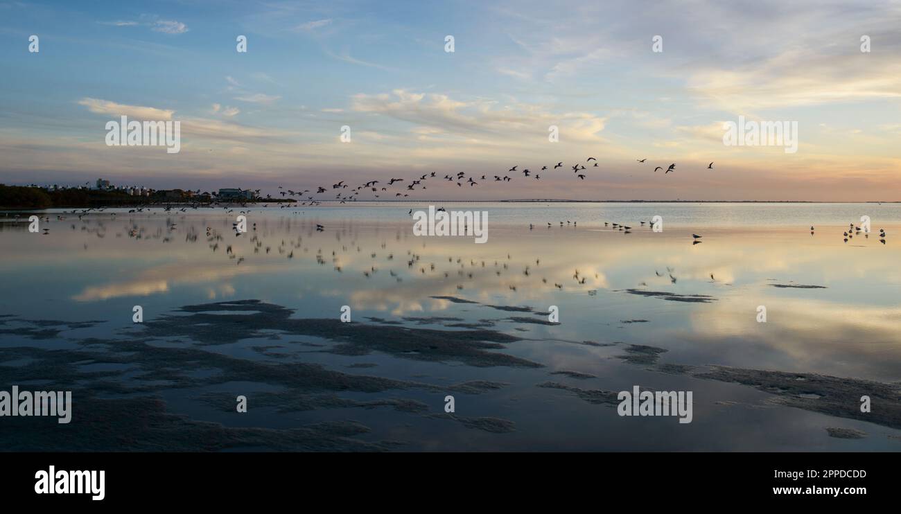 South Padre Island, Texas seascapes Stock Photo