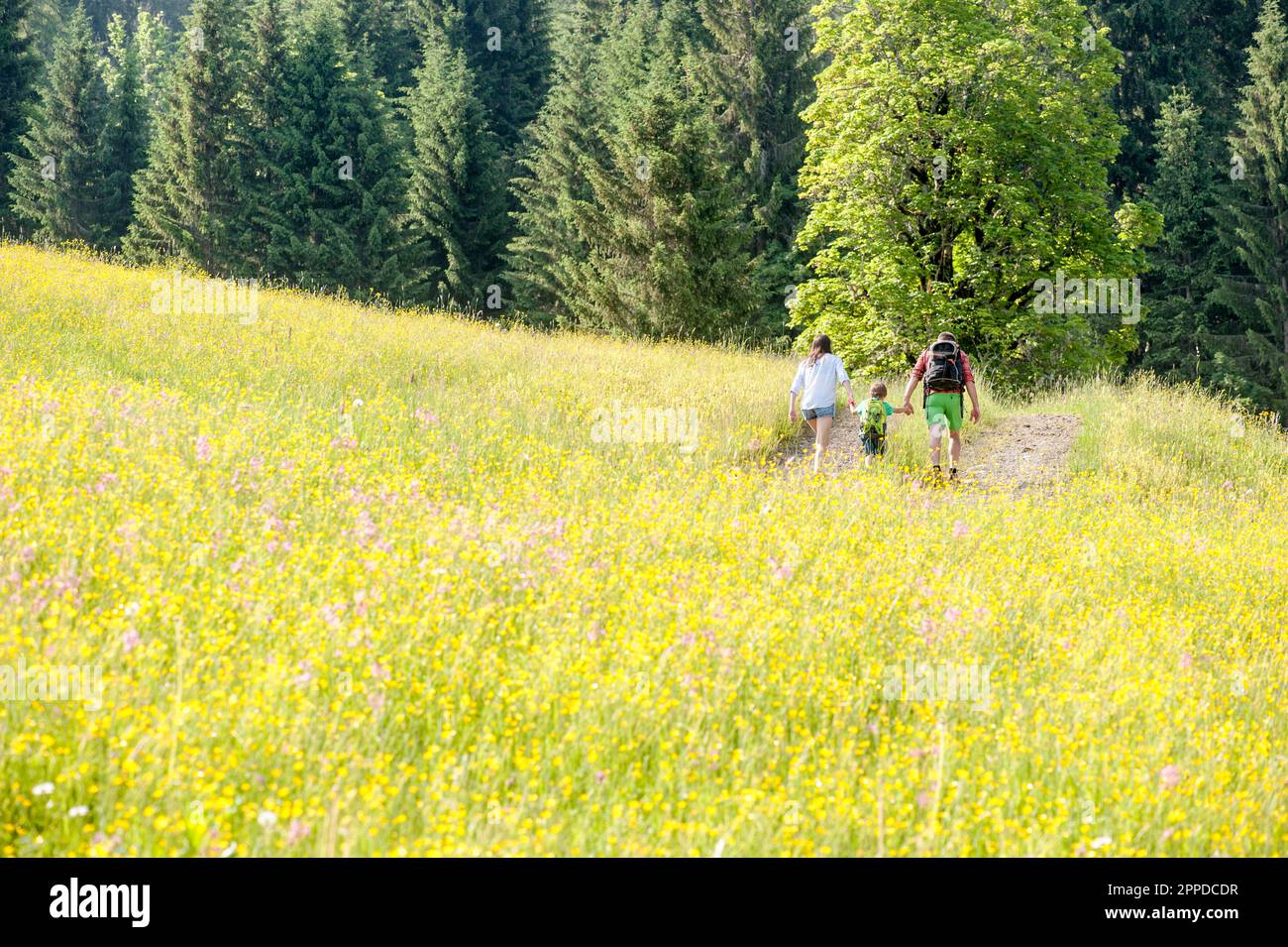 Man and woman holding hands and walking with son in front of trees Stock Photo