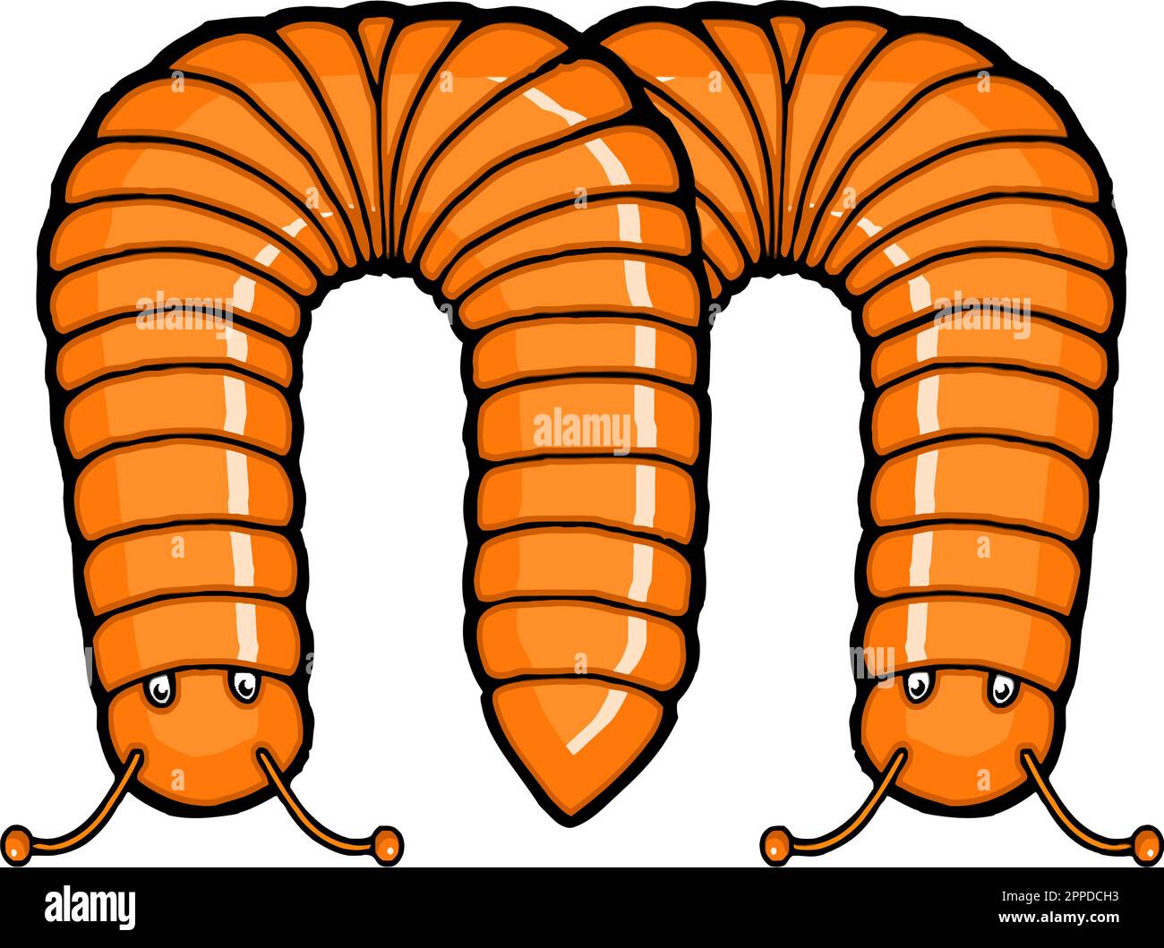 two millipedes forming the letter m Stock Vector