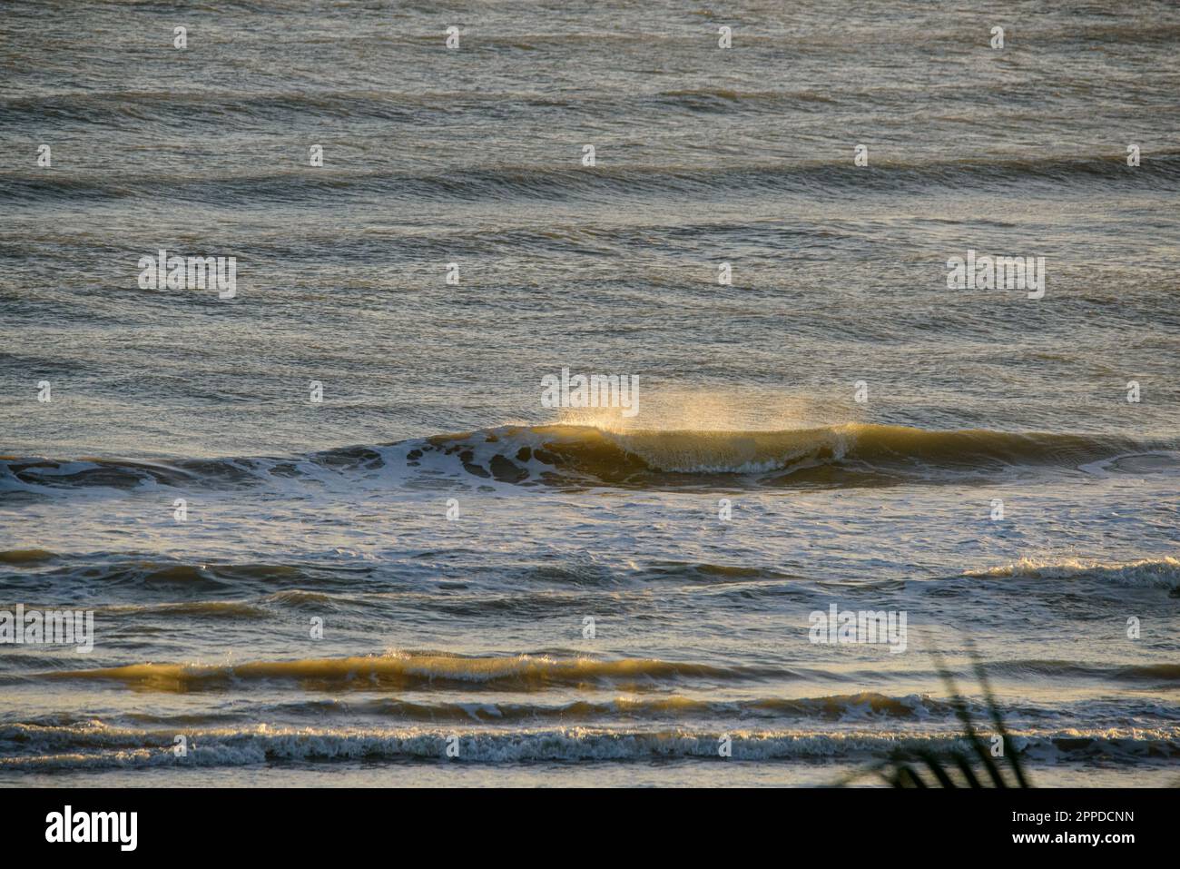 South Padre Island, Texas seascapes Stock Photo Alamy